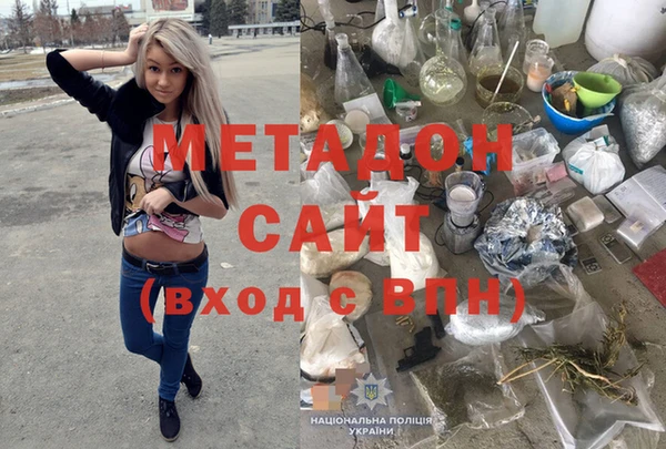 хмурый Аркадак