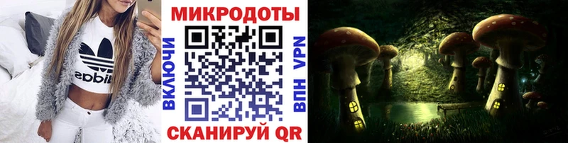 Галлюциногенные грибы GOLDEN TEACHER  Купить где  Сокол 