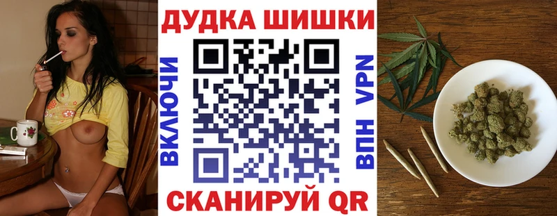 Бошки Шишки ГИДРОПОН  Купить  Сокол 